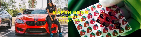гидра Бородино