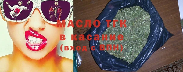 гидра Бородино