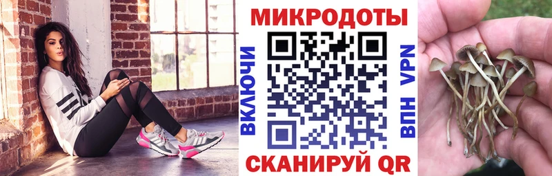 kraken рабочий сайт Долинск Псилоцибиновые грибы Psilocybe наркота